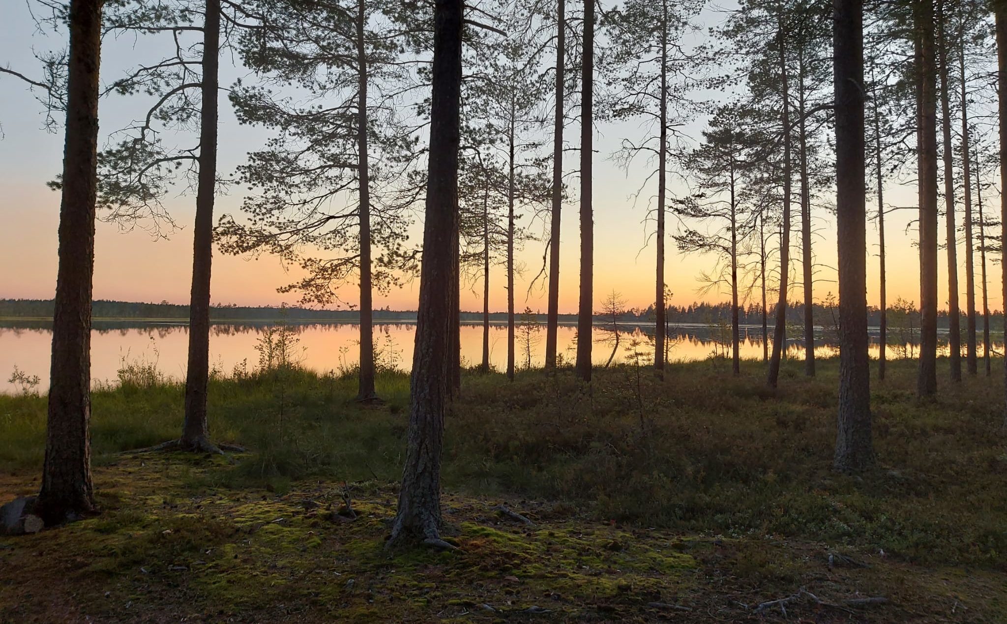 Ein einmaliges Erlebnis in Finnland